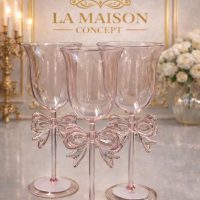 WhatsApp Image 2026-02-24 at 12.33.43