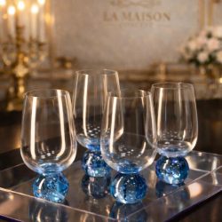 WhatsApp Image 2026-02-24 at 16.53.16