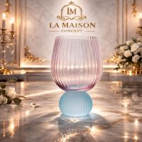 WhatsApp Image 2026-02-24 at 19.23.28